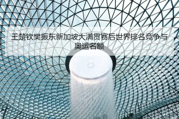 王楚钦樊振东新加坡大满贯赛后世界排名竞争与奥运名额